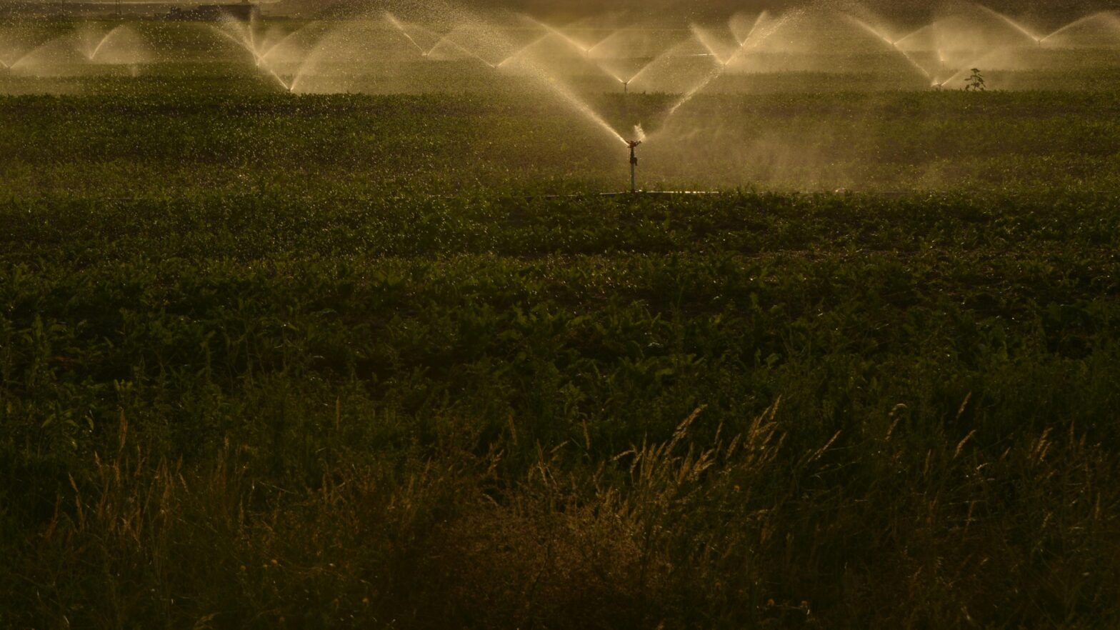 Urban reports Agency of water consumption, still spikes occur
