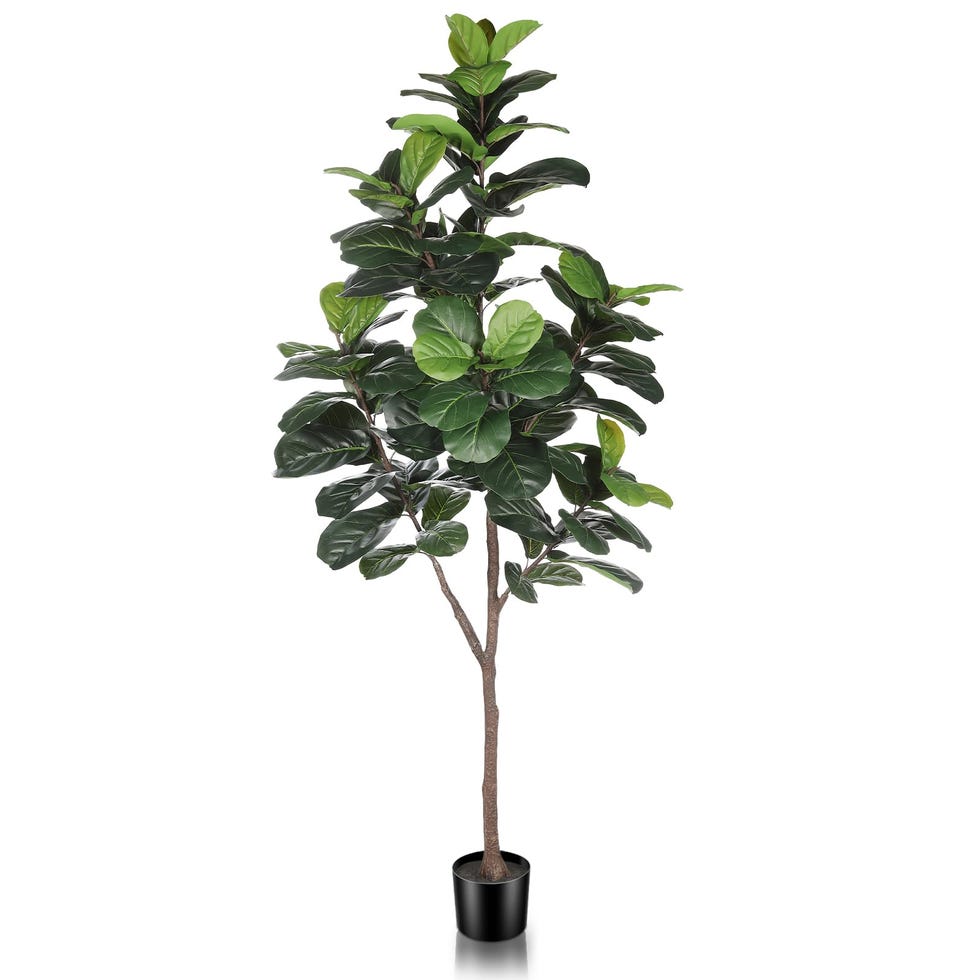 Artificial violin leaf fig tree Artificial violin leaf fig tree