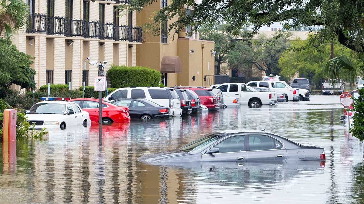 Guests opinion opinion: turn the tide - how country and water shape our climate future