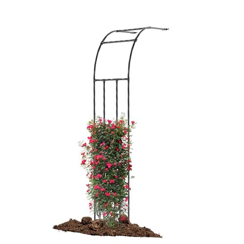 Twira Half Side Garden Arch Trellis, 7.9 Feet Metal Arbor Trellis for Outdoor Climbing Plants, Black Half Arch Wedding Garden Archway Spikes and Trellis Decoration for Lawn, Patio, Backyard