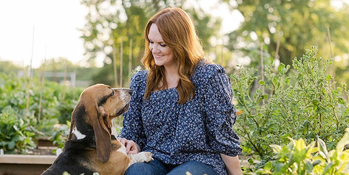 Ree Drummond's fall garden attracts butterfly visitors