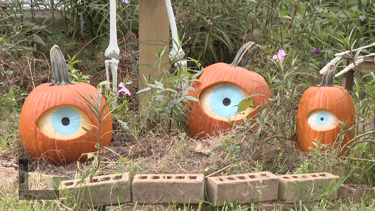 Get creative this Halloween