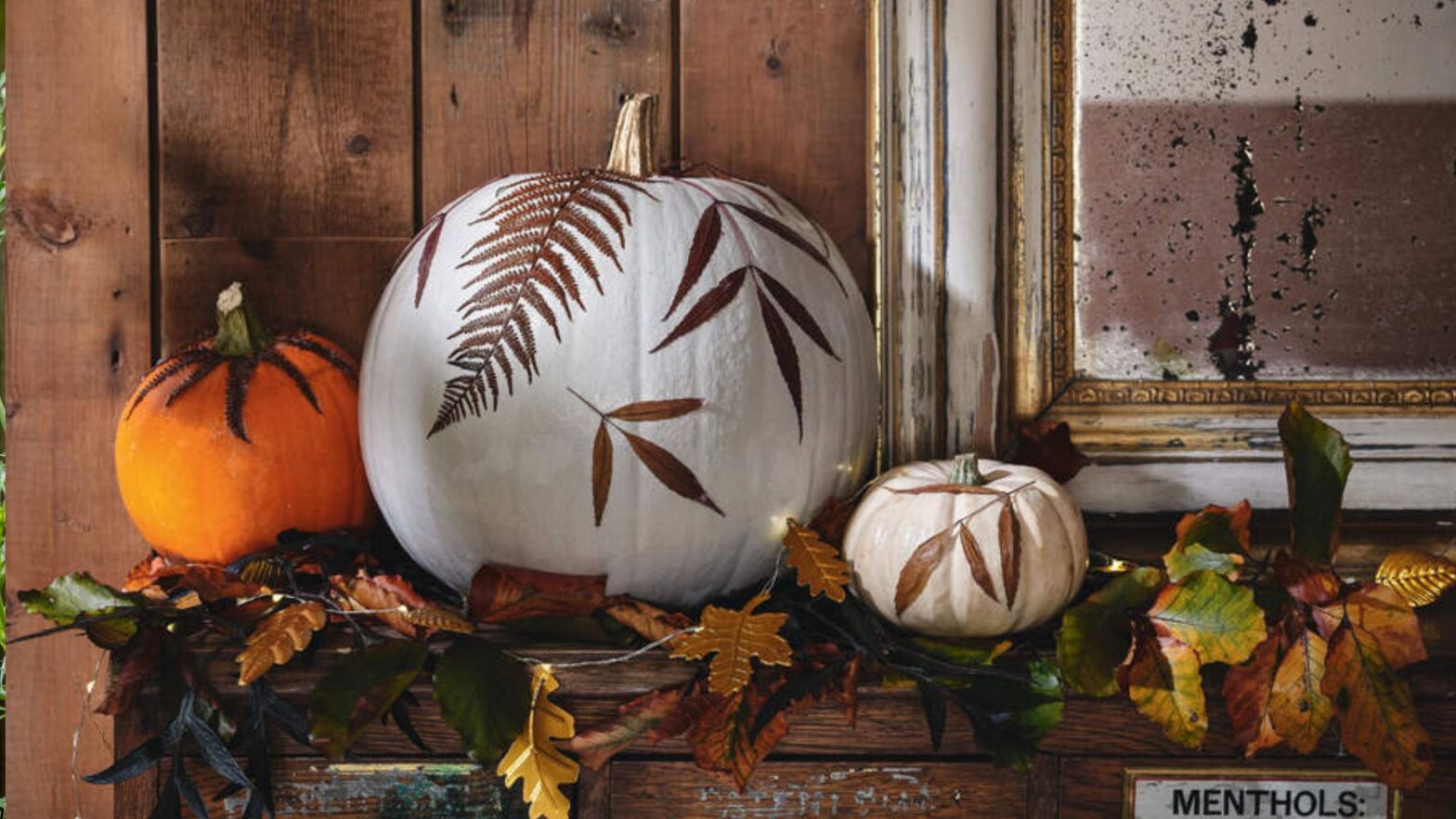 Your Halloween decorations could land you a hefty fine