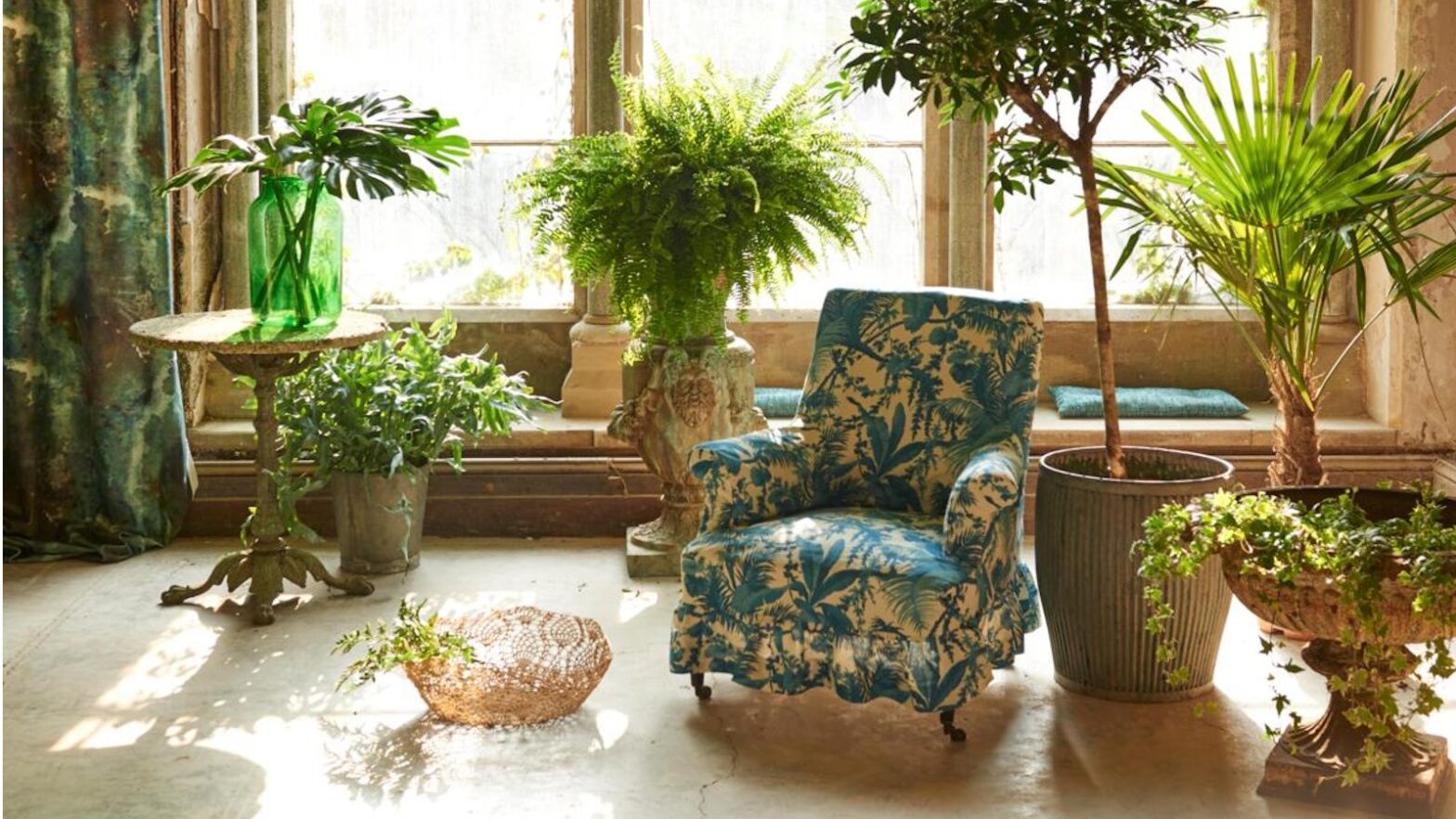 3 Houseplant Chores Every Gardener Forgets in the Fall