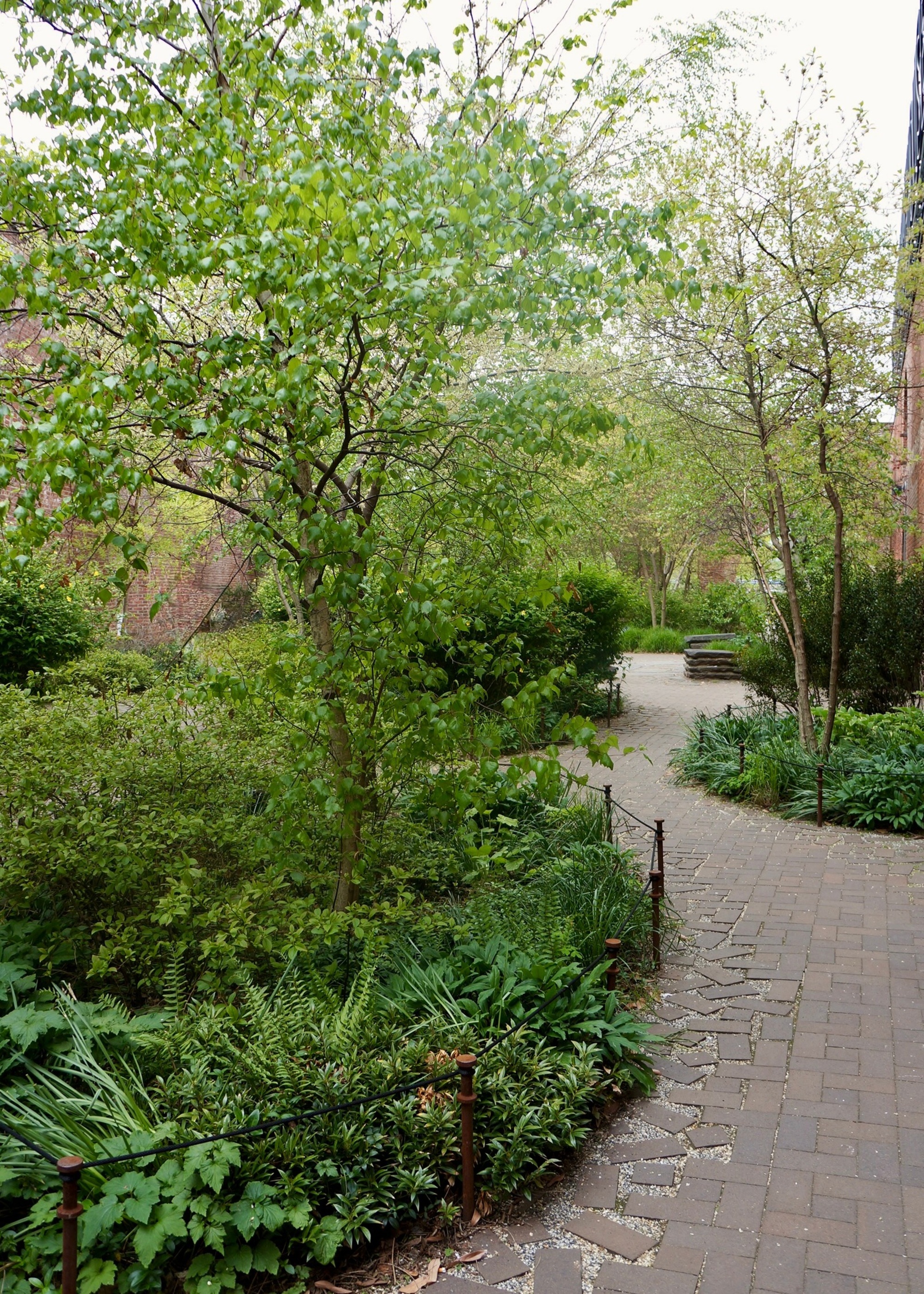 winding garden path with subtle edging