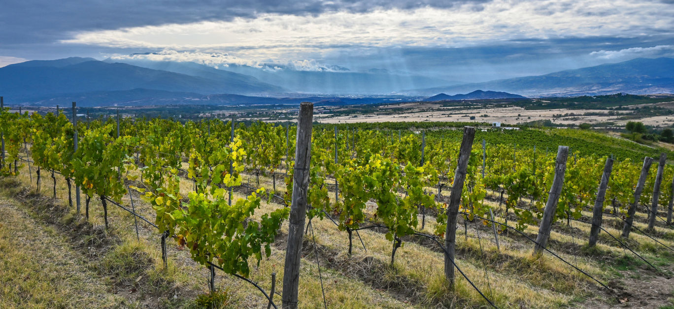 Aya Winery Estate: Where wine, art and design meet in the heart of Bulgaria