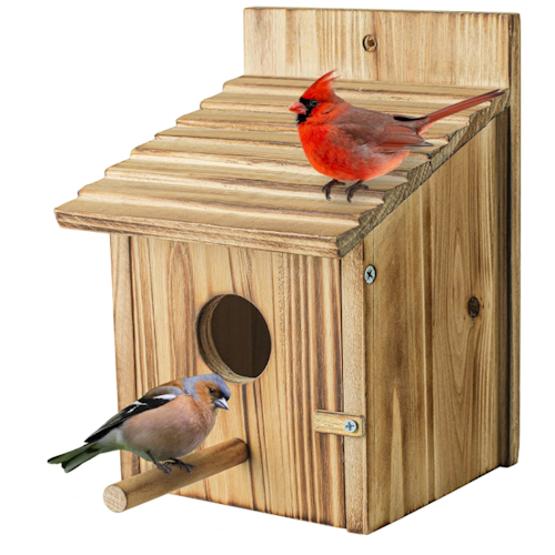 Amazon birdhouse