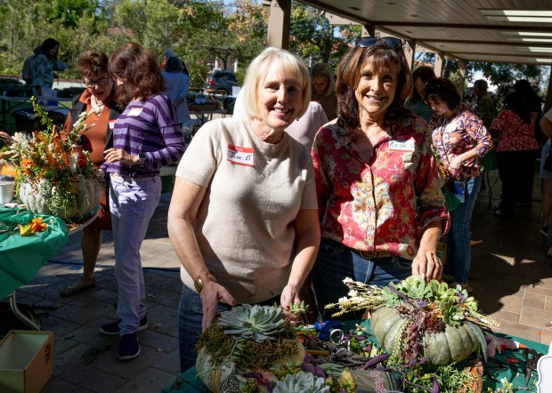 Jane Burke, Kristi Simmons (Jon Clark)