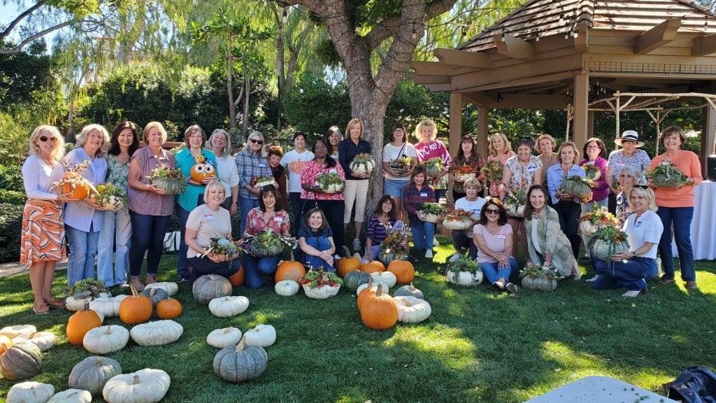 RSF Garden Club hosts annual pumpkin succulent workshop – San Diego Union-Tribune