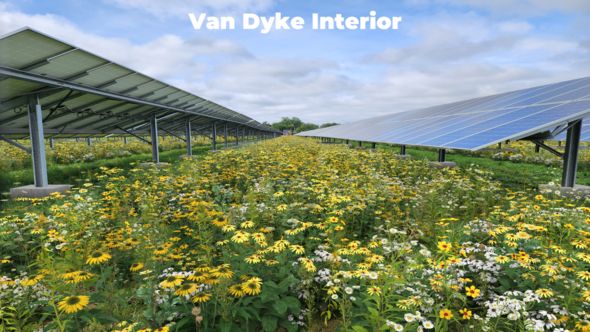 Detroit breaks ground on first 'Solar Neighborhood'