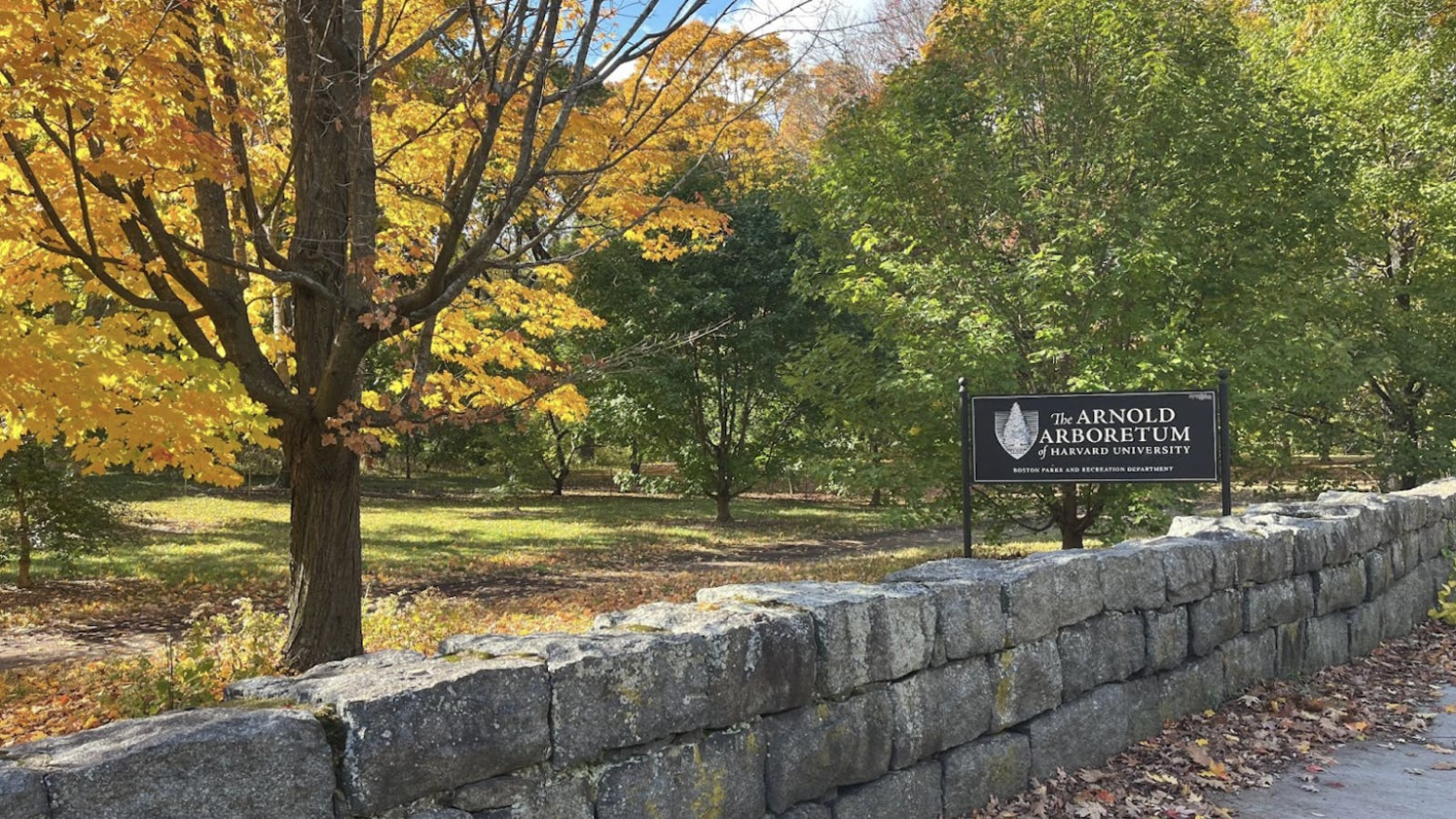 An Everyday Art Tour: A Living Collection