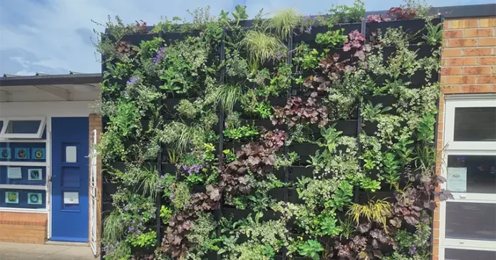 A plant box installed in a school that is installed