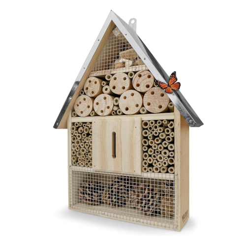 Amazon Beetle Hotel