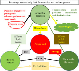 Integration of technologies for the use of organic agrowastes: production of feed additives, reduction in carbon dioxide emissions and production of hydrogen for sustainable agriculture