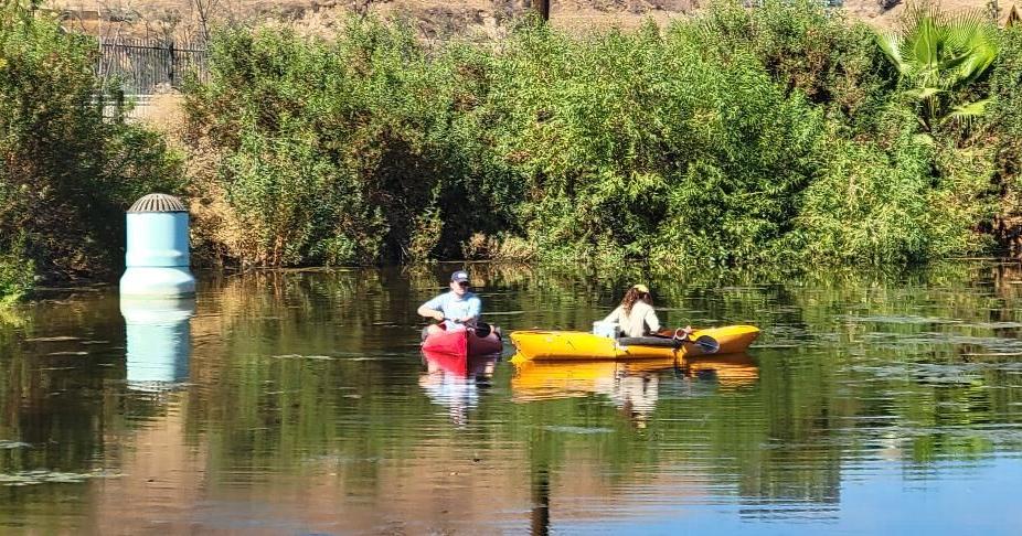 Life of a pond in the San Timoteo Nature Sanctuary | News