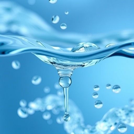 MOS2 nano leaves improve the capacitive enionary water cleaning