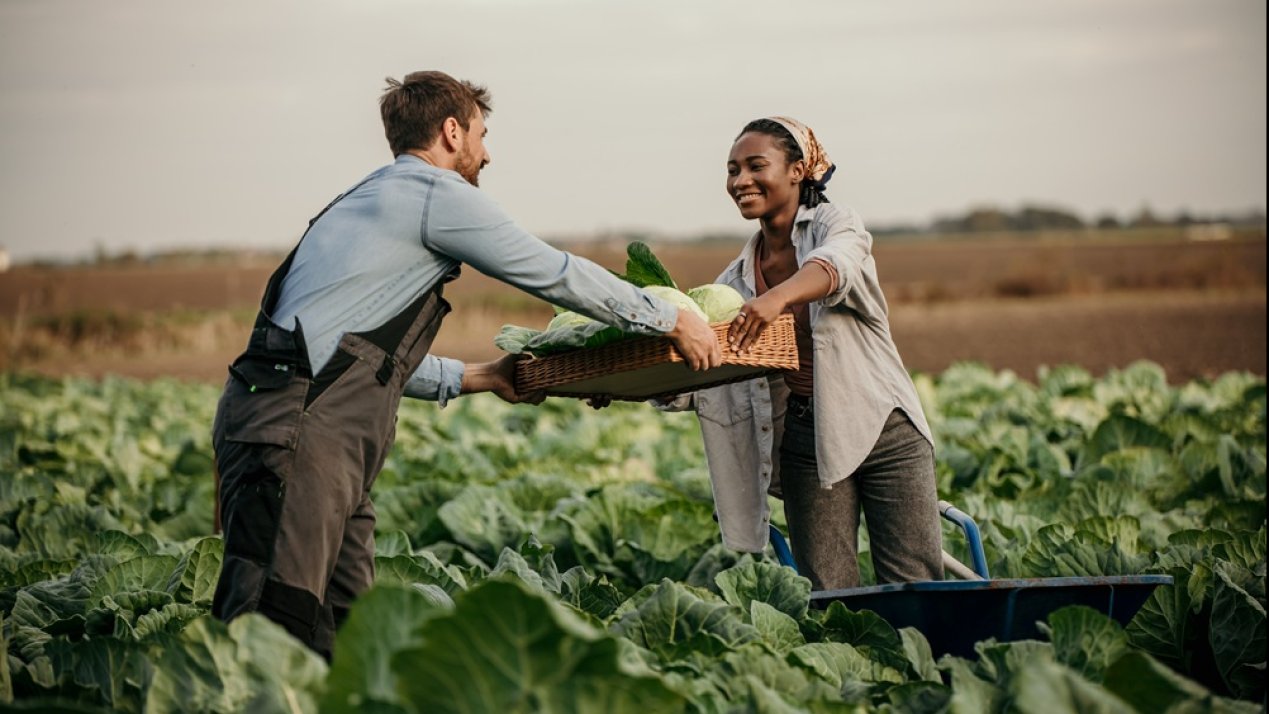 Mexico is making progress toward sustainable agriculture