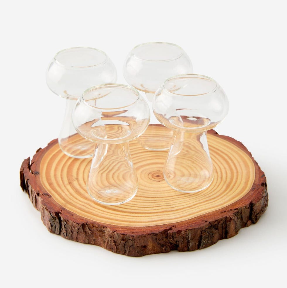 Forest Mushroom Shot Glass Set Forest Mushroom Shot Glass Set