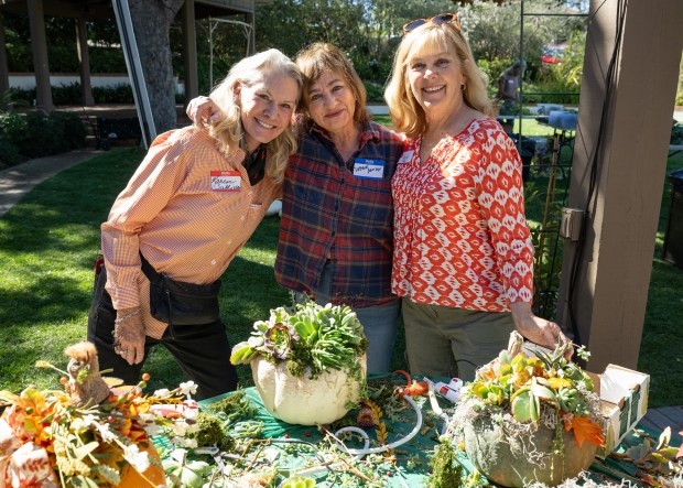 Karen Sullivan, Debbie Broida, Mardi Folks (Jon Clark)