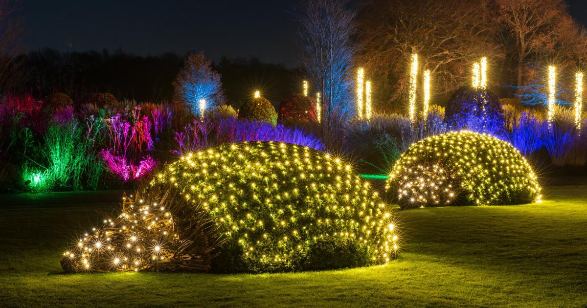 Rhs Garden Bridgewater is illuminated for Rhs Glow