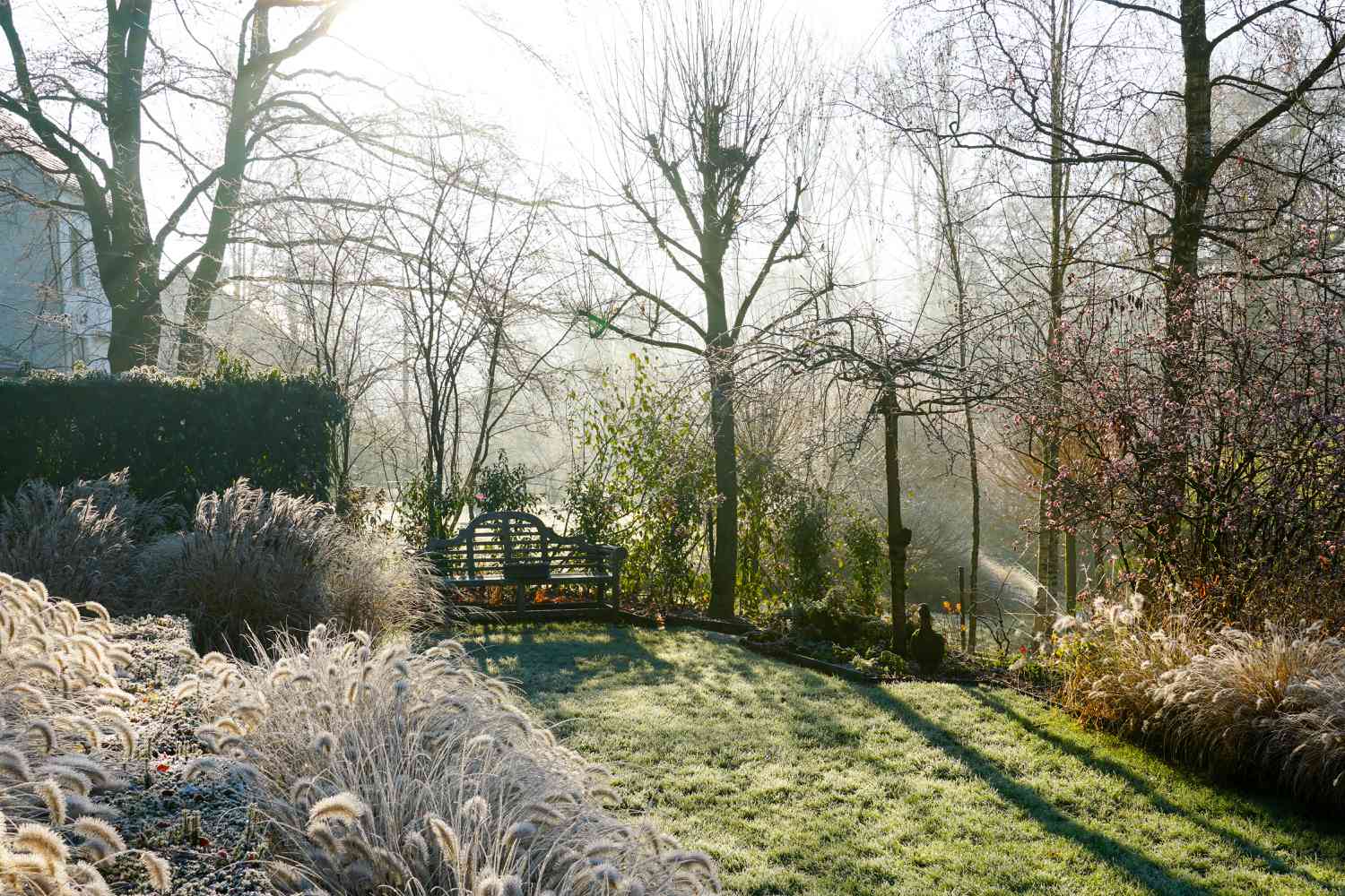 When to expect the first frost in your area so you can protect your plants