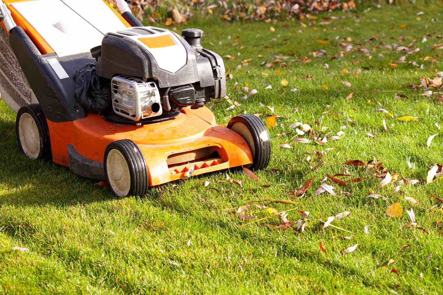 When to stop mowing the lawn: 4 signs