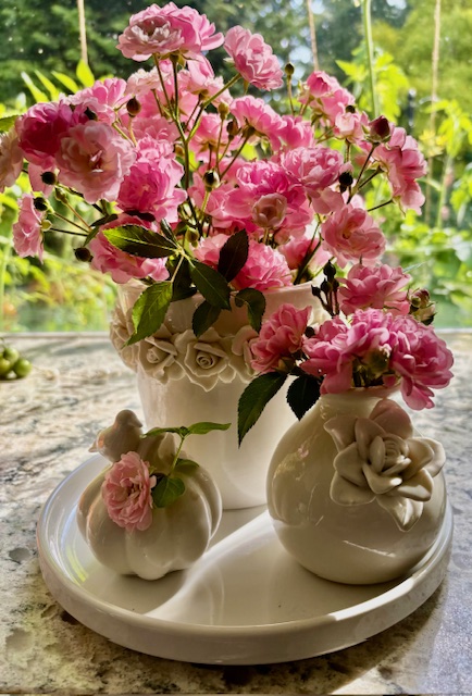 For Gardeners: Gardening for Mental Health