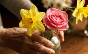 For Gardeners: Gardening for Mental Health