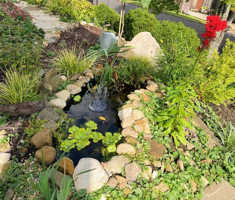 Many homeowners and outdoor enthusiasts know the headaches that come with dealing with invasive plants.