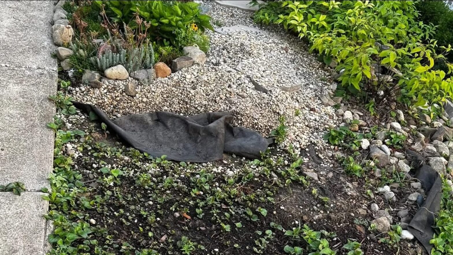 Homeowner shares stunning before and after photos of major garden makeover: 'I absolutely love this'