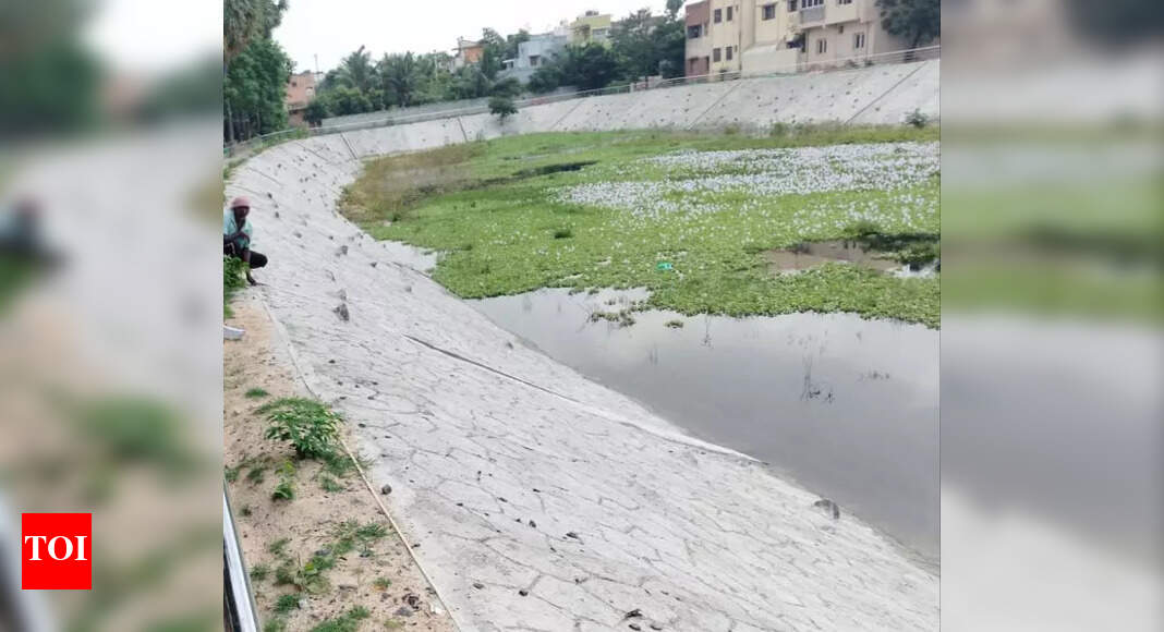 GCC begins restoration of three ponds in Madhavaram, Chennai News