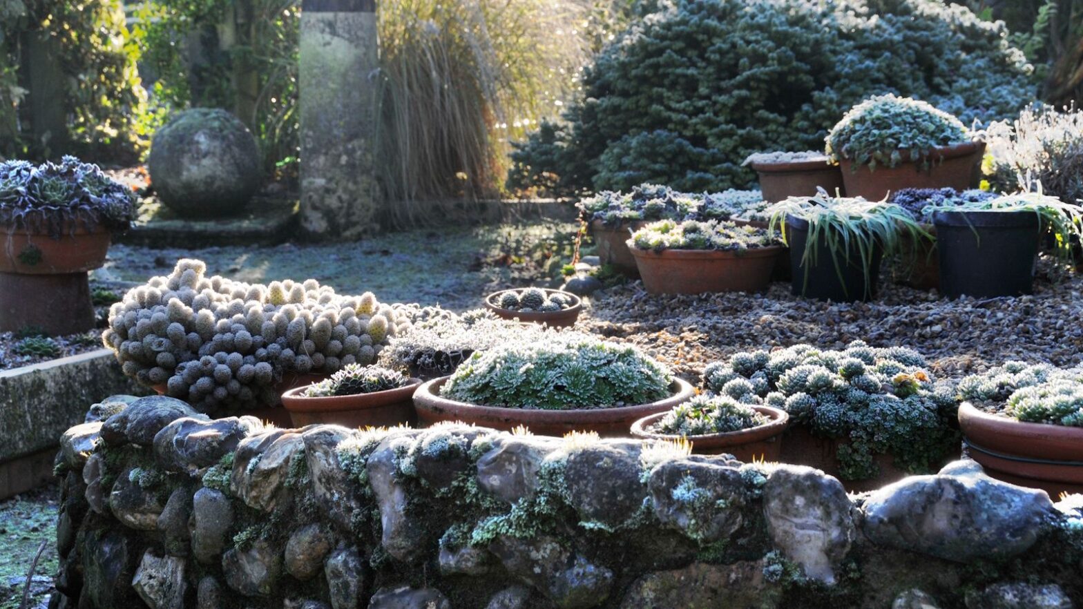 Winter Container Gardening Mistakes: 3 to Avoid This Season