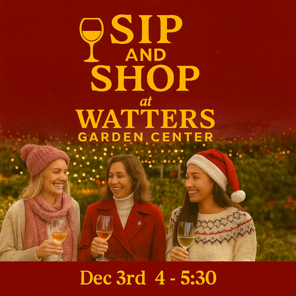 Sip & Shop at Watters Garden Center Flyer, December 3rd 4:00-5:30pm, with three ladies on the cover in festive attire in front of Christmas trees enjoying white wine
