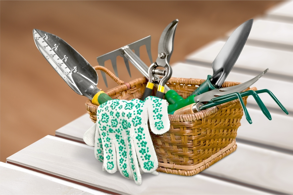 The best time to prune flowering shrubs in your landscape