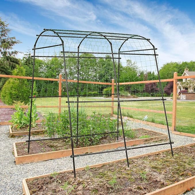 Garden arch trellis