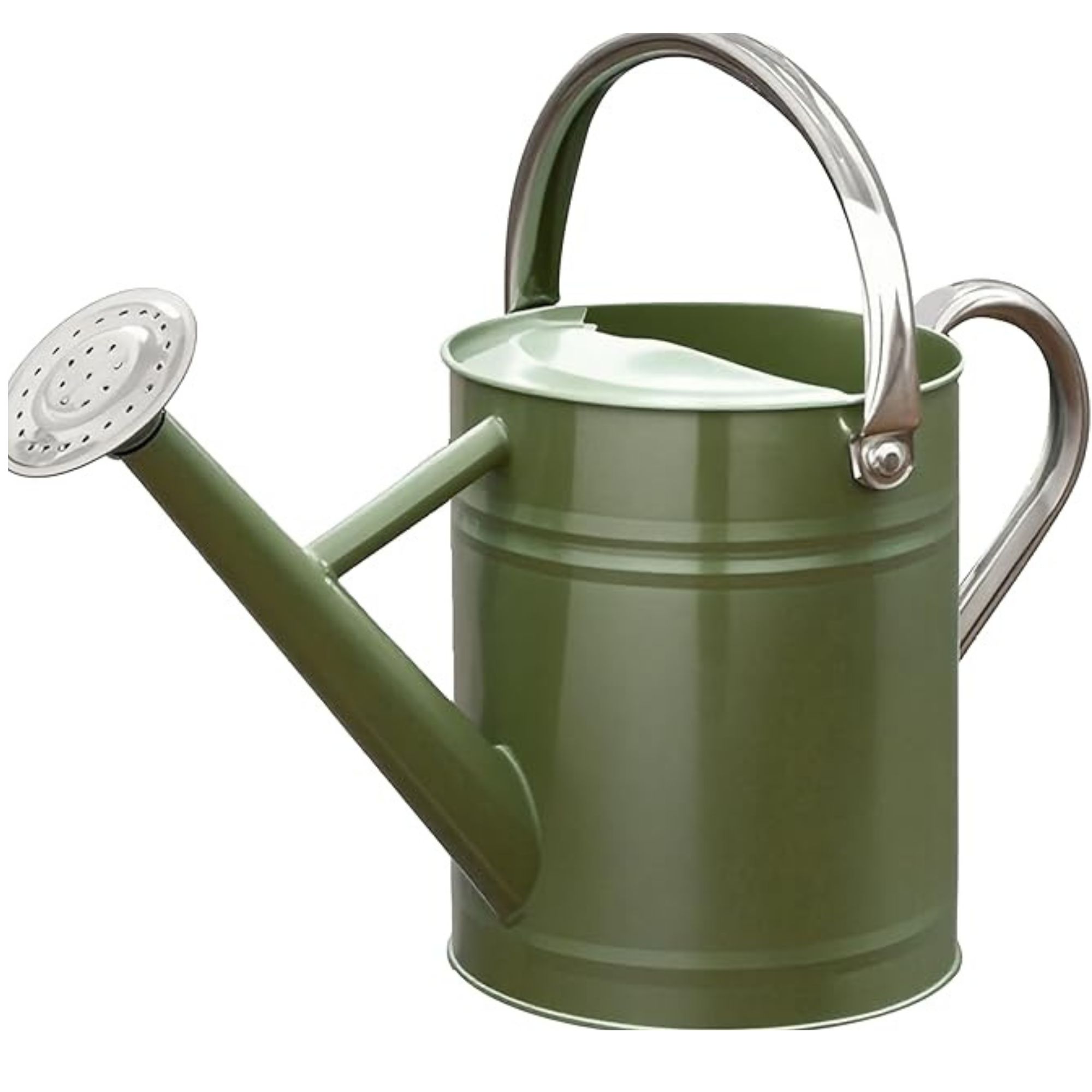 Metal Watering Can, 1 Gallon Stainless Steel Watering Can (Emerald Green)