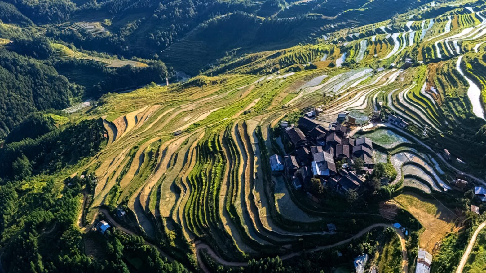 Experts stunned after rare creature found in unexpected place: 'It was pretty aggressive'