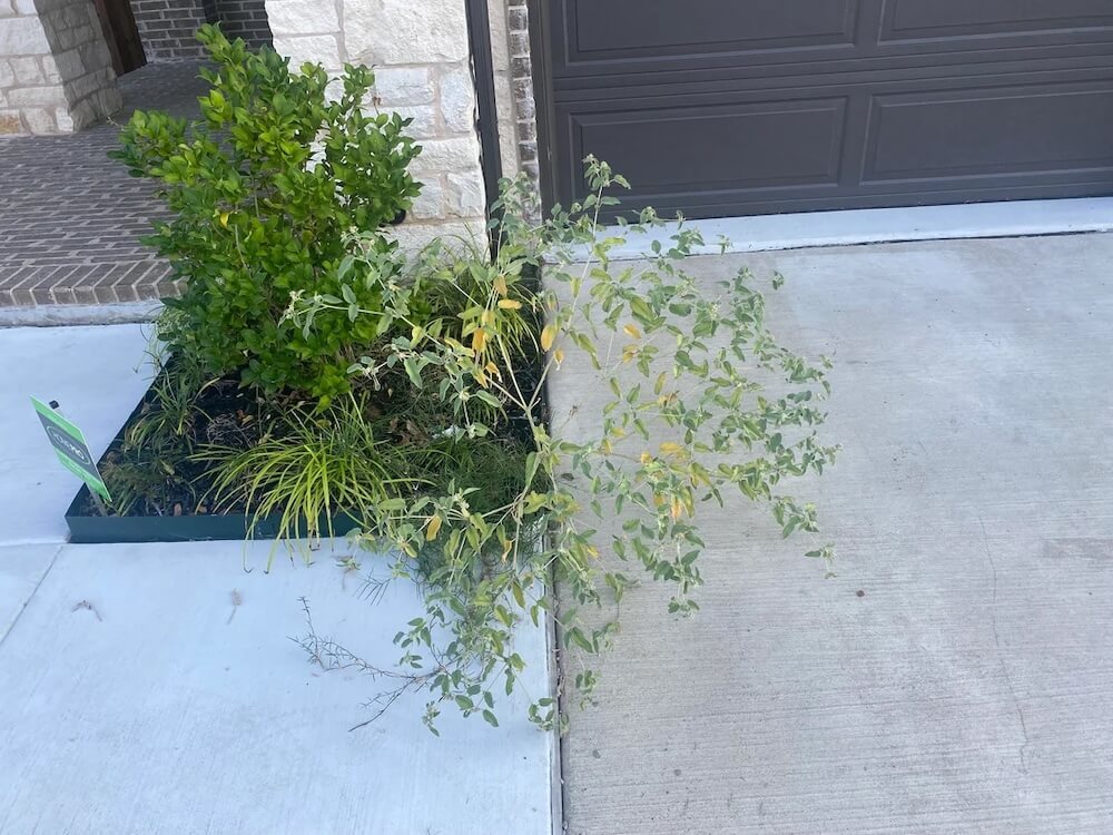 Homeowners get pretty angry when they feel like their homeowners are stifling their ability to implement environmentally friendly landscaping practices.