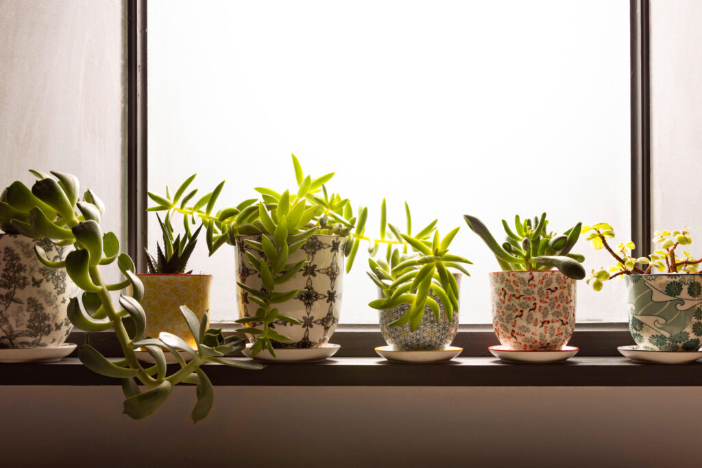 It's time to retreat within