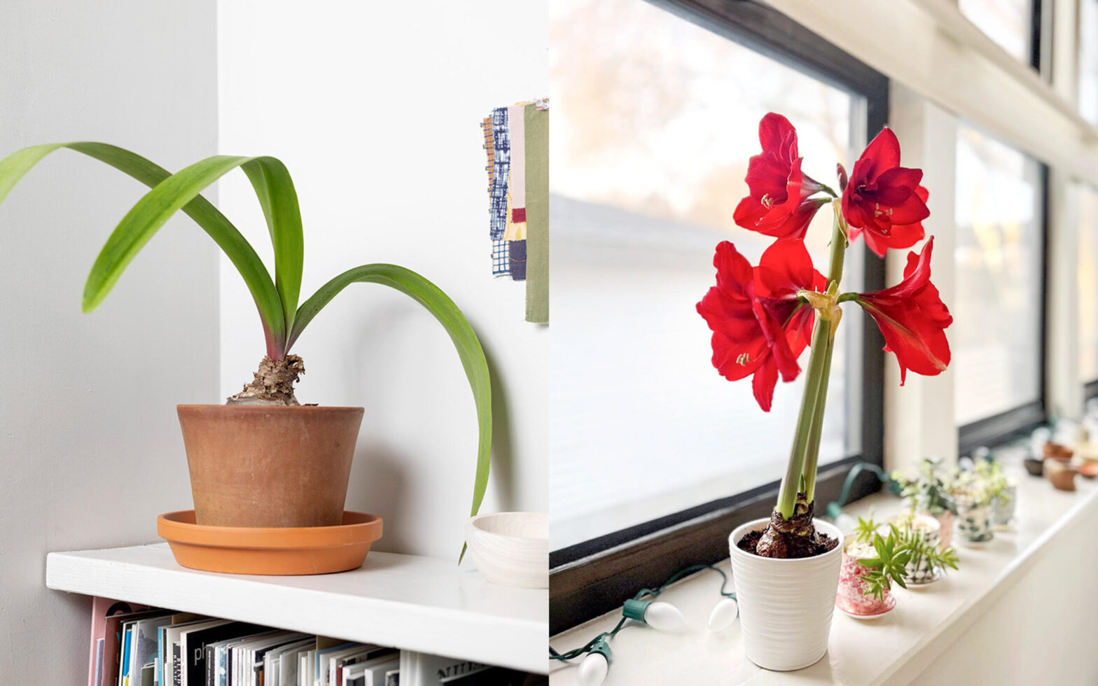 It's time to retreat within