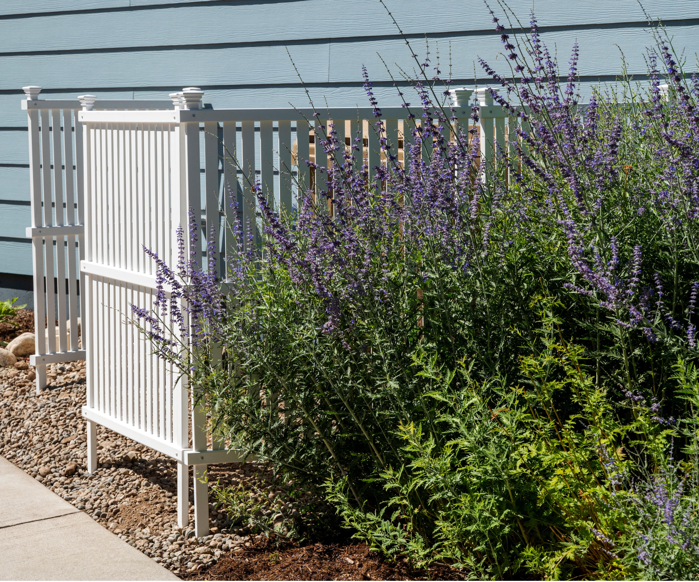 White fence hiding utility box and trash can. Lavender planted in front of it