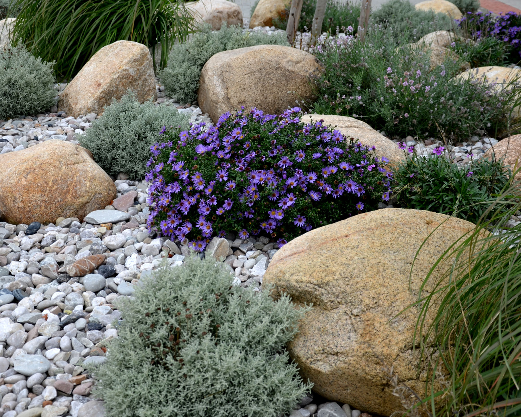 Rock landscaping with garden plants