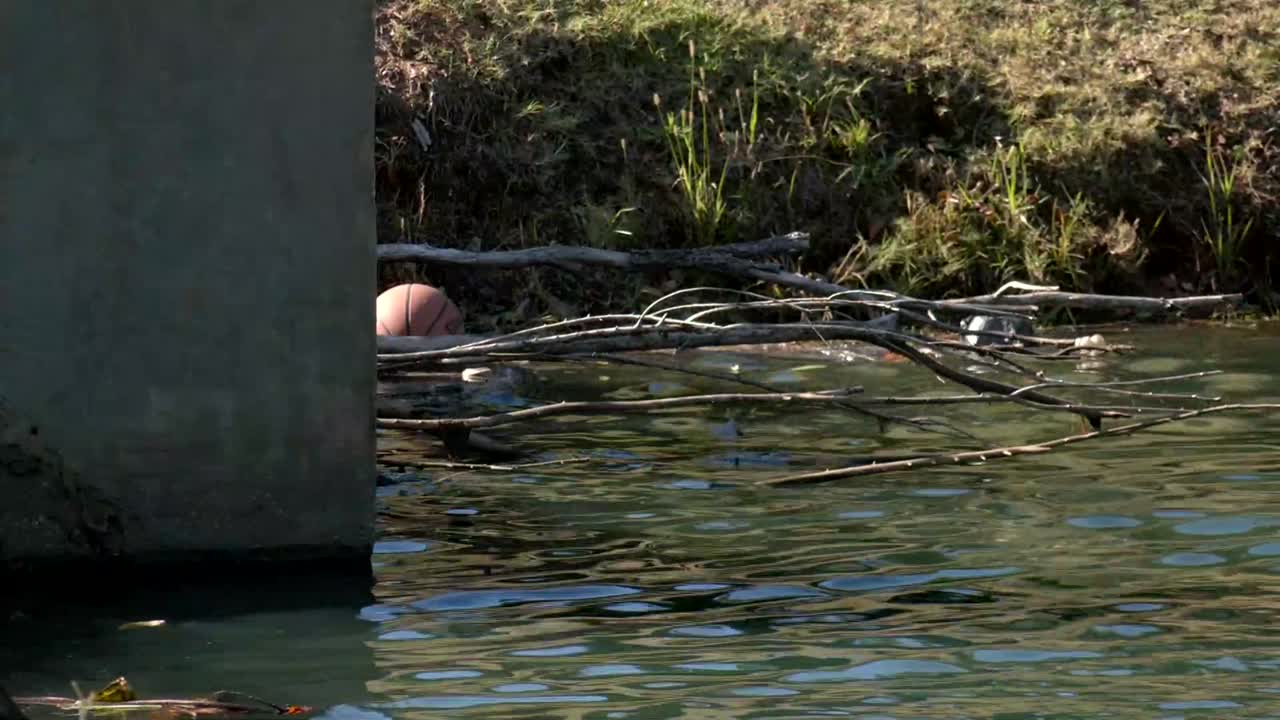 3-year-old dead after being pulled from Edmond Pond