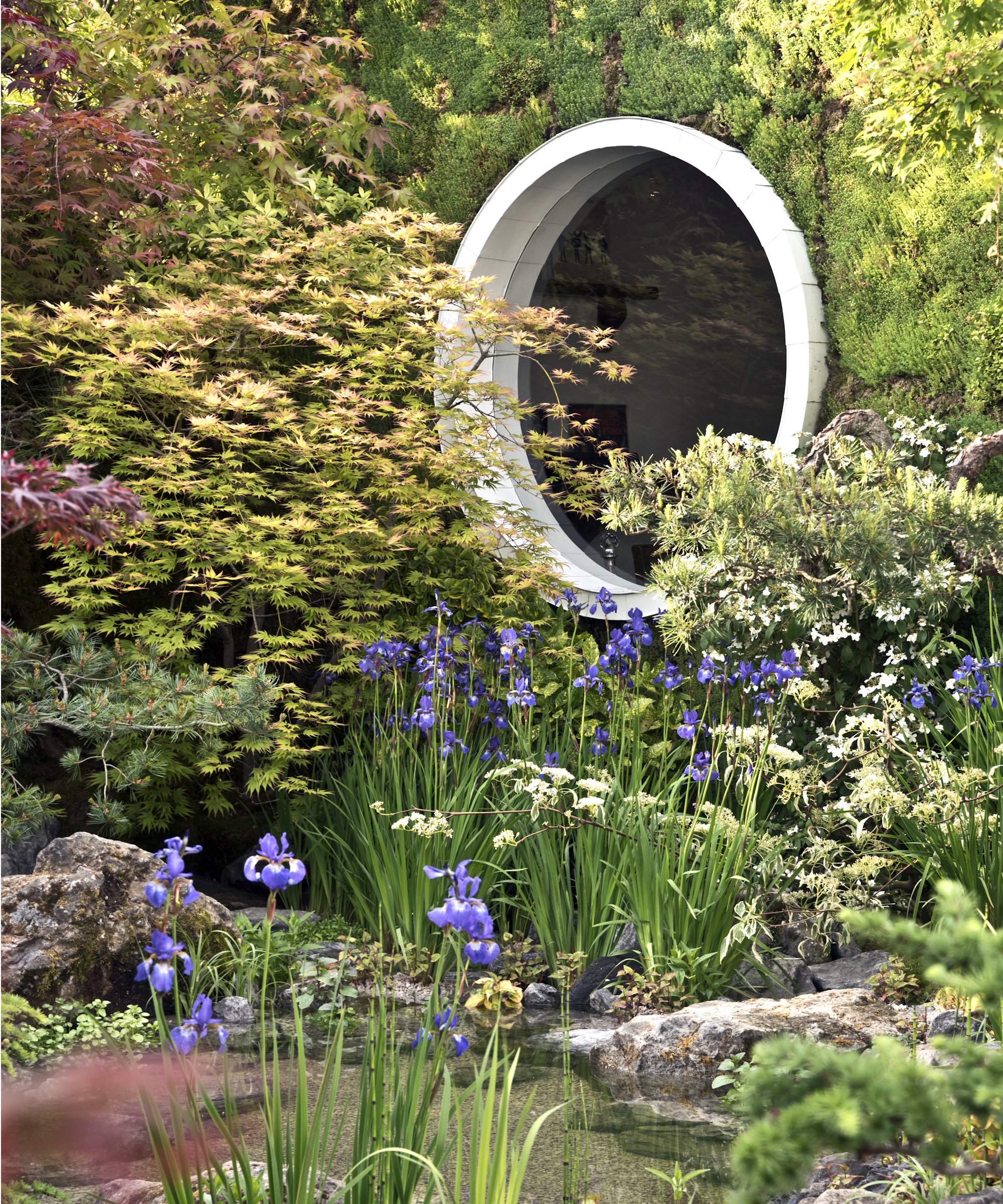 Chelsea Flower Show 2024 Japanese planting