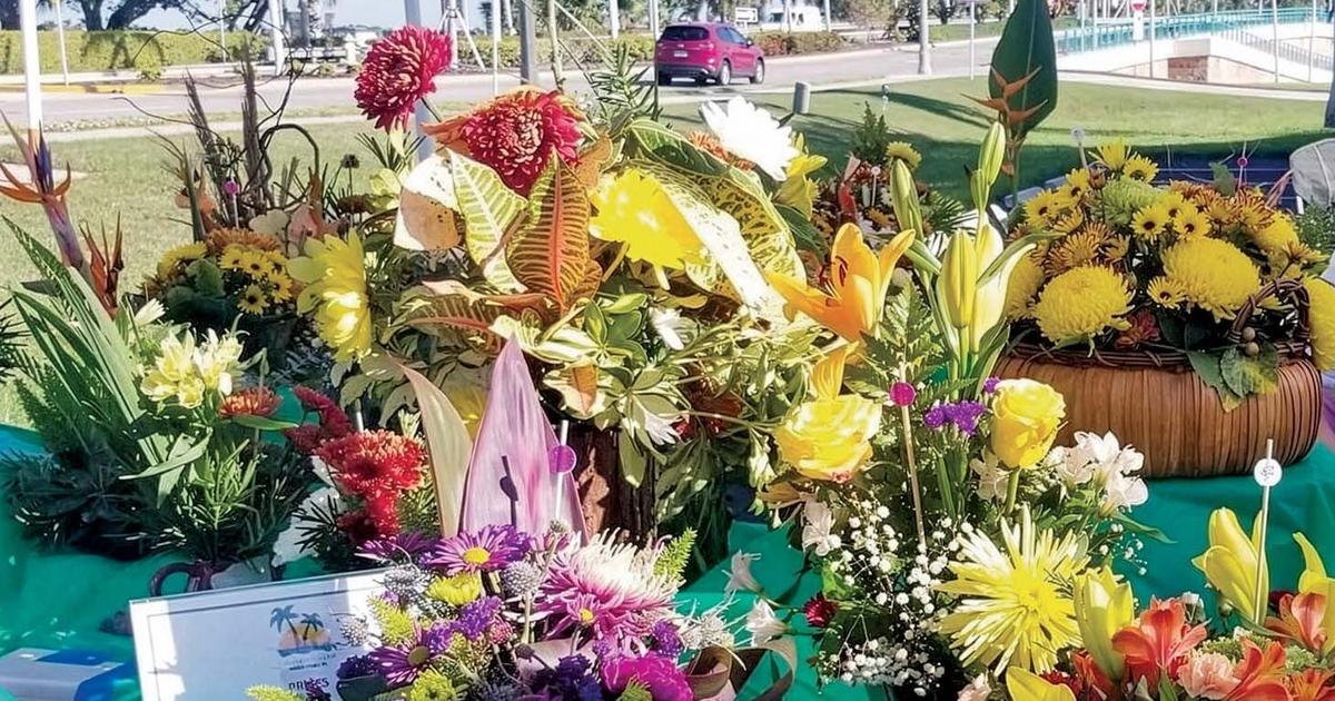 Calusa Garden Club Plant and Floral Design Sale November 22nd | Clubs and organizations