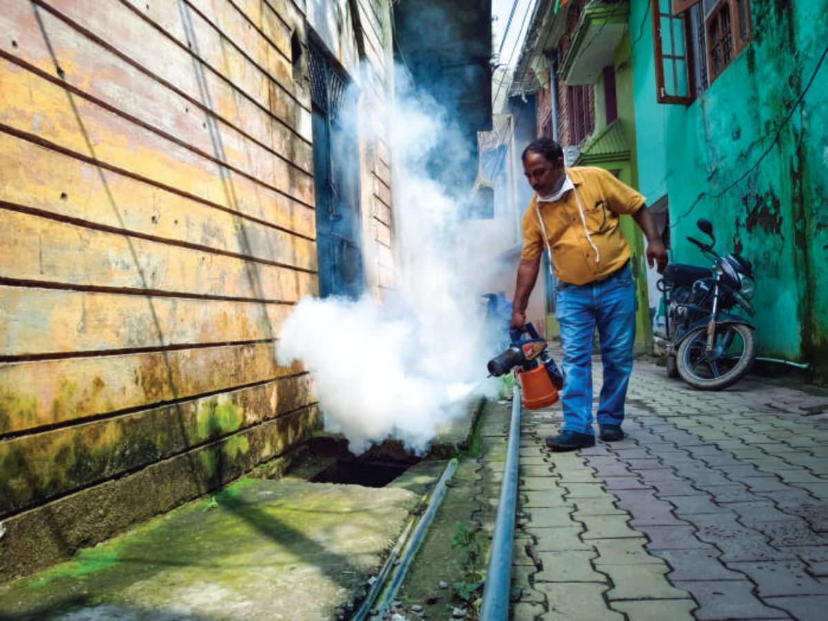 Destroy mosquitoes to eradicate eight deadly diseases