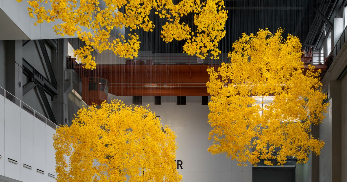 Does the flower hear the bee? - Announcements