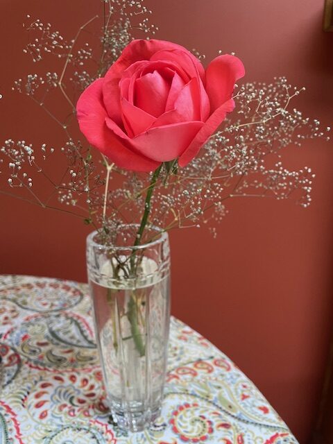 For Gardeners: Gardening for Mental Health