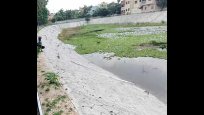 GCC begins restoration of three ponds in Madhavaram