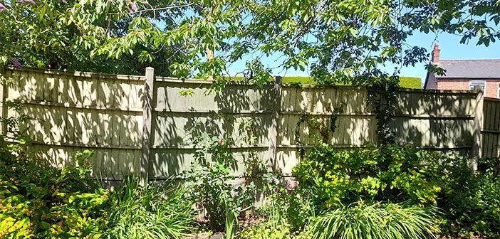 Homeowners are rushing to spruce up their gardens as the remodeling trend blossoms